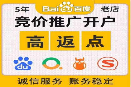 实战派经验分享：百度竞价代理成功案例揭秘